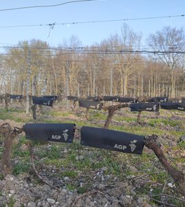 Installation de la solution sur des vignes