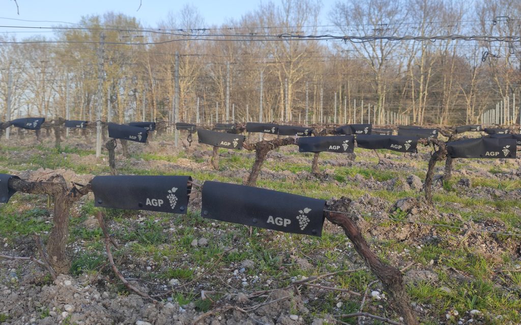 Installation de la solution sur des vignes