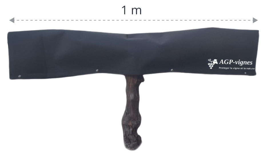 image du produit AGP vignes adapté à la Taille Guyot simple